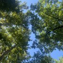 냉천마을 횡단보도 이미지