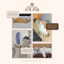 이쁘냥 | 이쁘냥 대전점) 솔직 생생 방문 후기💕