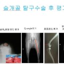 태전동물병원 이미지