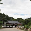 봉평메밀꽃향기