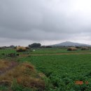 상모2리 마을회관 이미지