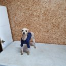 공마당길 이미지