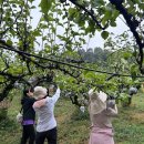 세종플라자 이미지