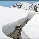 법원부동산중개사무소 이미지