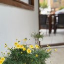 나의 인생 사진과 에세이 이미지