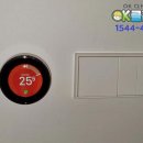 청원 NEST 이미지