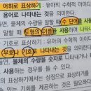 Re: 수학 표상하기 이미지