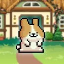 복실복실 | (직접 적는 후기) 몰티즈와 복실복실 온천