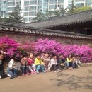 화도진약국 이미지