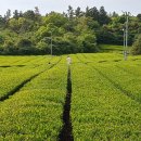 14-1코스 이미지