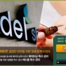 아델커머스 네이버블로그