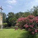 너희가 감당할 수 있으리라! (요한복음16:12-15) 이미지