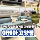 스피드메이트이케아고양점 | 이케아 고양점 주차정보 푸드코트 메뉴 추천 휴무일 할인정보