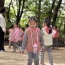 ⛰️대현산으로 숲체험에 다녀왔어요⛰️ 이미지