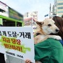 종식2농장 | 보신탕 식용 금지, 1년 후 변화와 남은 과제