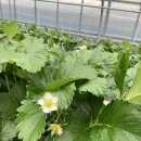 성희농장 이미지