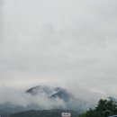 부산농원민박 | 춘천 팔미농원 애견동반 가능하고 조용한 캠핑장 내돈내산 후기