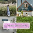 경기도 수원시 팔달구 수원천로199번길 | 수원은 가을이 제철. 행궁동 데이트 코스 총정리! (돌판 짜장 짜마, 세이쥬쿠 웨이팅)