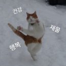 11590-나5 이미지