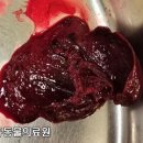 리틀쥬동물의료원 이미지