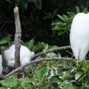 다려도이야기 이미지