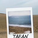 소근진성펜션 | 여유로운 태안 1박 2일 여행기｜글램핑부터 해안사구까지🦀🦀