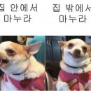 공감 이미지