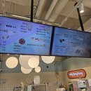 젤리통통 | [춘천 대형 키즈카페 추천!!] 젤리통통 엔타점 후기 (여행 아이와 갈만한 곳)