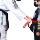 용호태권도체육관 이미지