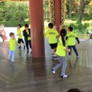 해냄스포츠클럽 차돌합기도 이미지