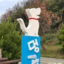 흥환1리 간이해수욕장 화장실 | 포항 멍비치 다녀온 후기(포항 흥환간이해수욕장)