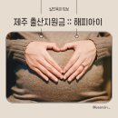 해피아이 어린이집 | 2024년 제주 출산혜택 :: 제주 출산지원금 해피아이 정책