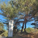 더예감스테이 | [캠핑] 3번째 캠핑 / 경남 산청 캠핑장 / 더예감스테이캠핑장 / H-2 사이트 후기 / 가족캠핑