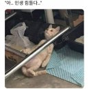 수경슈퍼 - 계양구 | 수경슈퍼