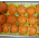 김재철농장 이미지