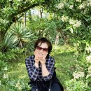 협재 맨드롱 이미지