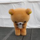 플립 | 고객님은 그만 오셔도 됩니다 (킥플립 서울 콘서트 후기..)