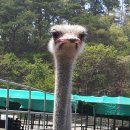 동보농장 이미지