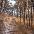 안용주골 이미지