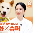 순돌 ×가락 이미지