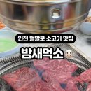 밤새먹소인천하야점
