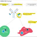 유한회사 보현메딕스 | [공지] 레고켐바이오 분석 (부제 : 바이오 온라인 스터디 모집)