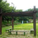 마치 Daum카페