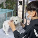 영광동물병원 이미지