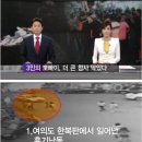 여의도칼부림사건,용기있는 시민 세분 이미지