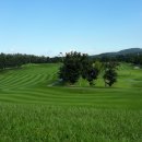 빅토리아 골프클럽 이미지