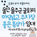 키움푸르지오동원더샵부동산중개사무소 | 울산상가임대, 울산 울주군 굴화리 마당넓고 주차장 좋은 통상가 임대 매물 추천 1억/400만원/무권리