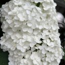 I&#39;ll try to write it down somehow. 이미지