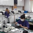 원광안경 이미지