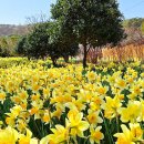 모장경로당 이미지